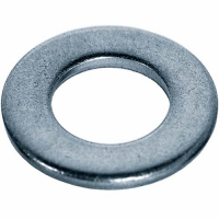 Шайба обычная